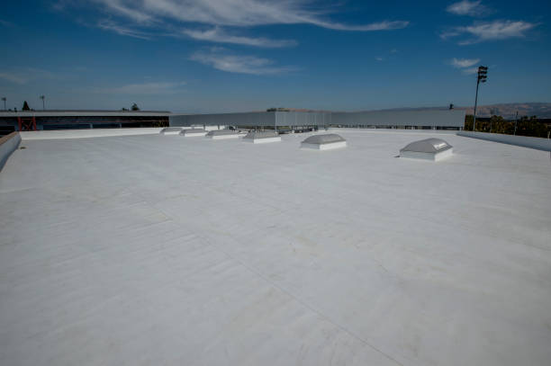 Best Rubber Roofing (EPDM, TPO)  in Red Bank, TN