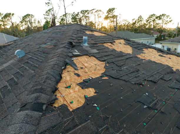 Best Asphalt Shingle Roofing  in Red Bank, TN