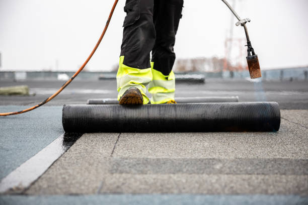 Best Steel Roofing  in Red Bank, TN