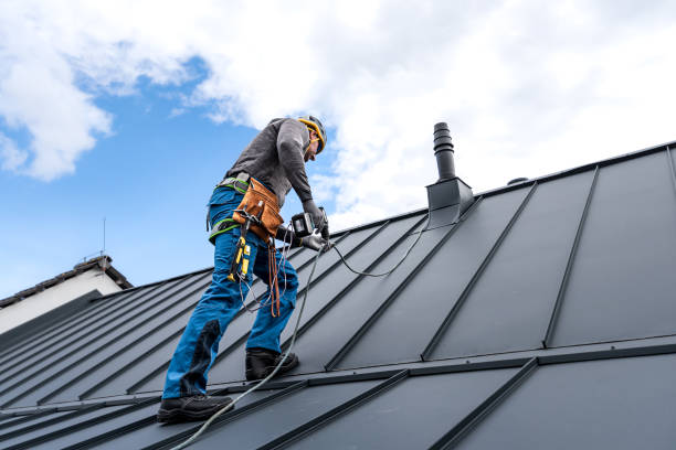 Best Solar Panel Roofing Installation  in Red Bank, TN